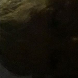 Meet your Posher, Bud